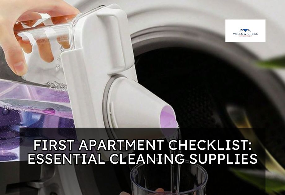 First Apartment Checklist: Essential Cleaning Supplies