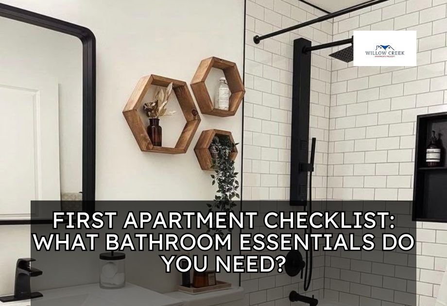 First Apartment Checklist What Bathroom Essentials Do You Need