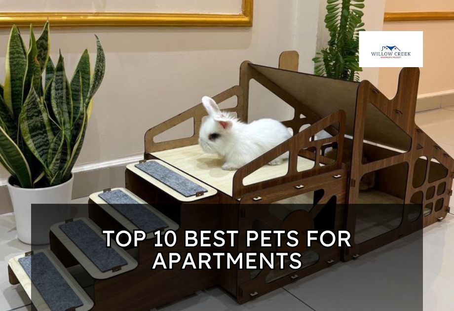 Best Pets for Apartments